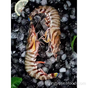 Crevettes chinoises congelées Penaeus japonicus